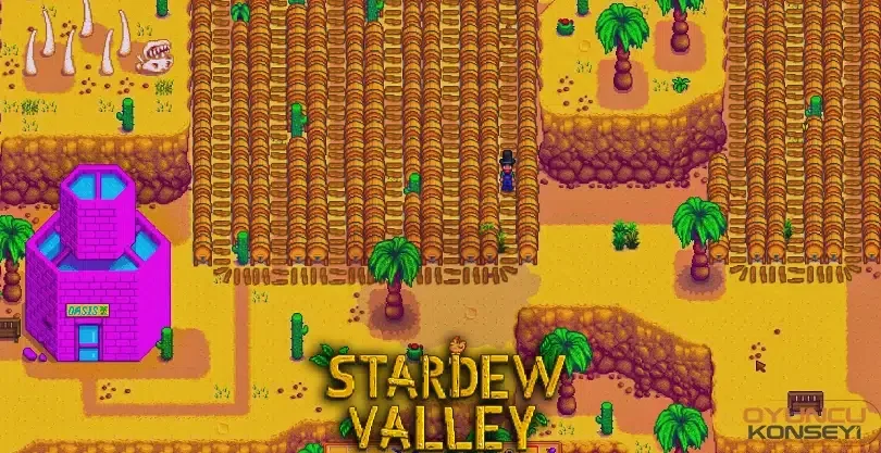 Stardew Valley Çöle Nasıl Gidilir?
