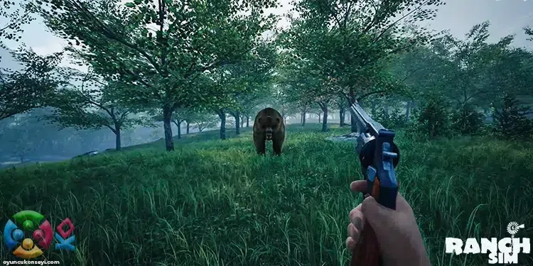 Ranch Simulator Avlanma Alanları