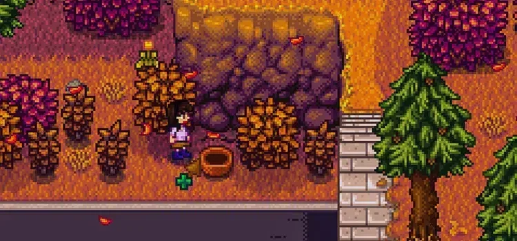 Stardew Valley Linus Sepeti Nerede?