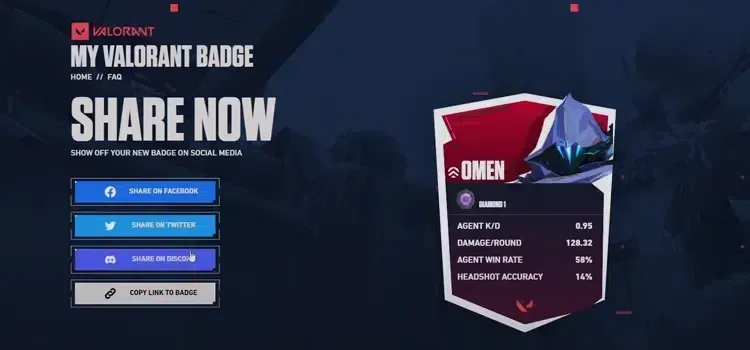 What is Valorant Badge?