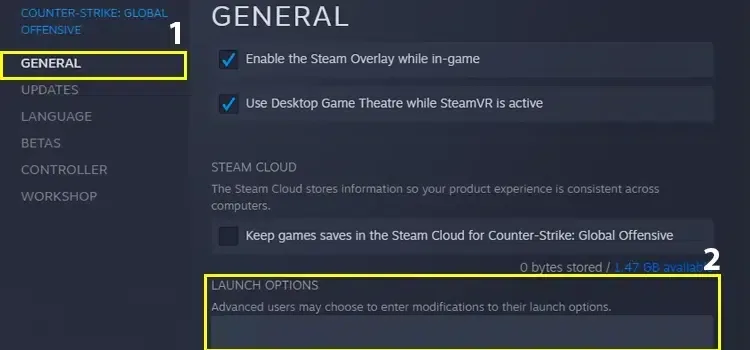 CS GO Başlatma Seçenekleri Nereye Yazılır?