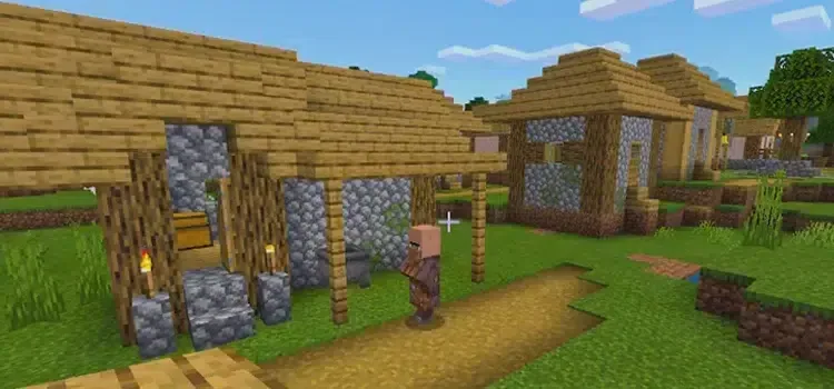 Minecraft Köy Seedleri Nereye Yazılır?