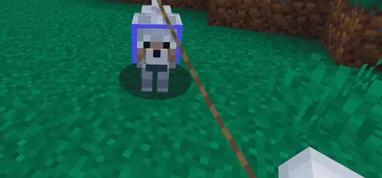 Minecraft Kayış Nasıl Kullanılır?