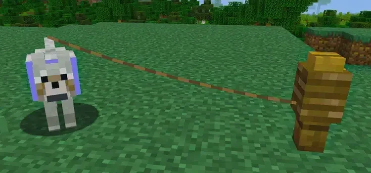 Minecraft Kayış Ne İşe Yarar?