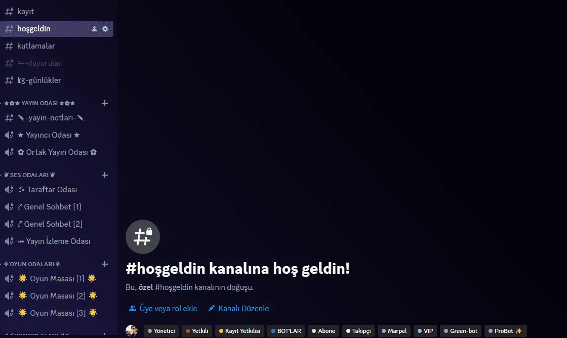 Discord Hazır Oyun Sunucusu Şablonu Görüntüsü