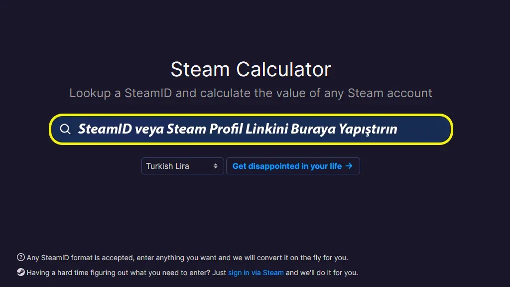 Steam Hesap Değeri Öğrenmek