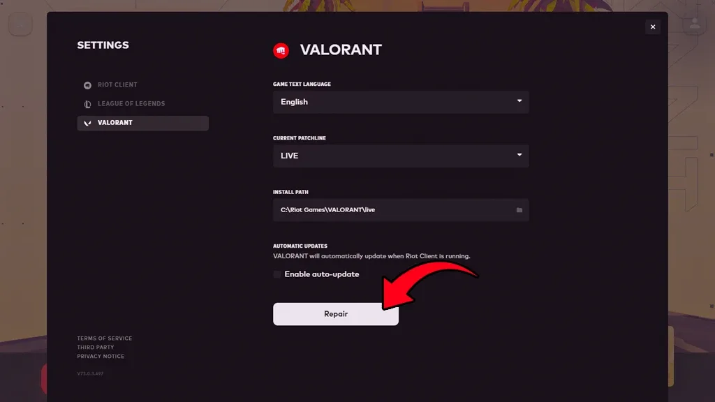 Valorant Dosya Doğrulatma