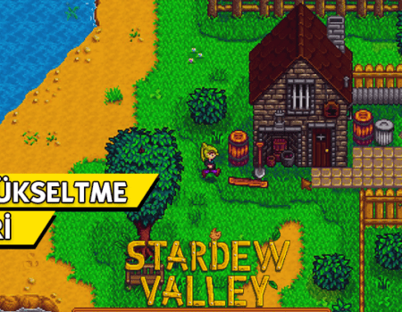 Stardew Valley Alet Nasıl Yükseltilir?