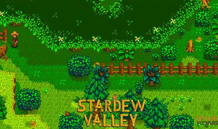 Stardew Valley Gizli Orman Nerede?