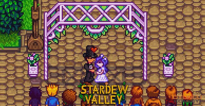Stardew Valley Nasıl Evlenilir?