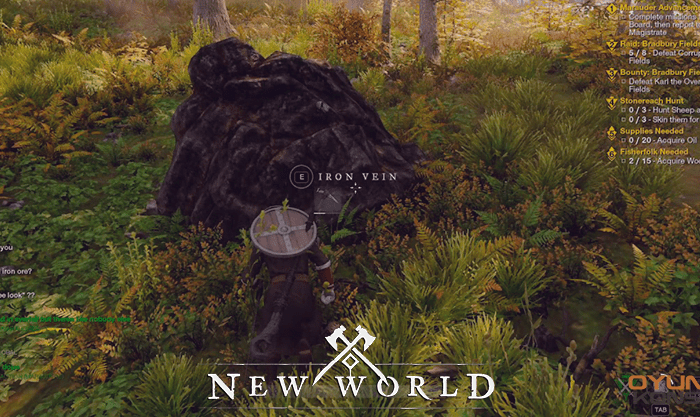 New World Madencilik Rehberi