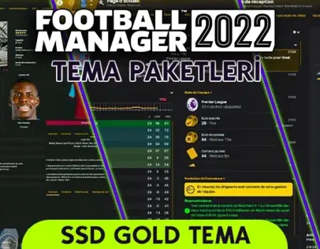 FM 22 SSD Gold Teması (Altın)