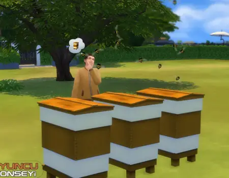 Sims 4 Arıcılık Rehberi