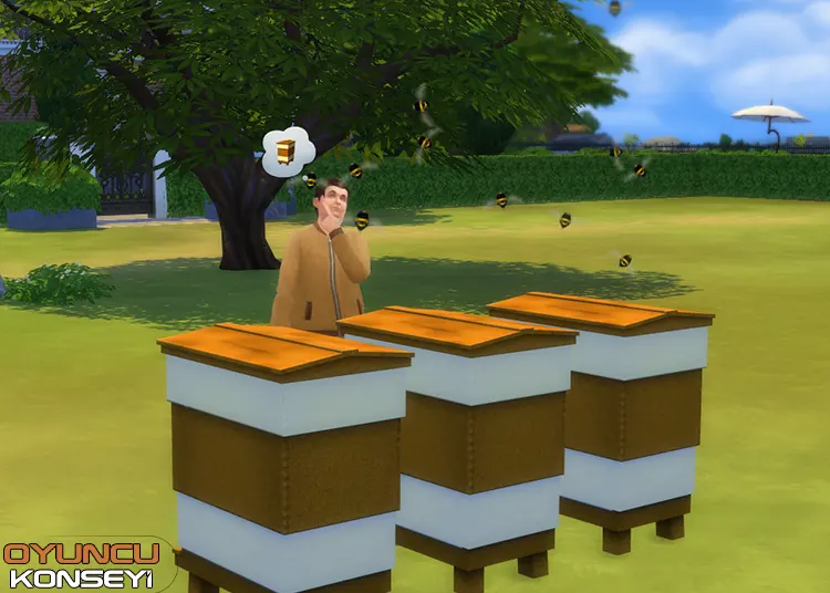 Sims 4 Arıcılık Rehberi