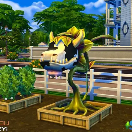 Sims 4 Cowplant Nasıl Büyütülür?