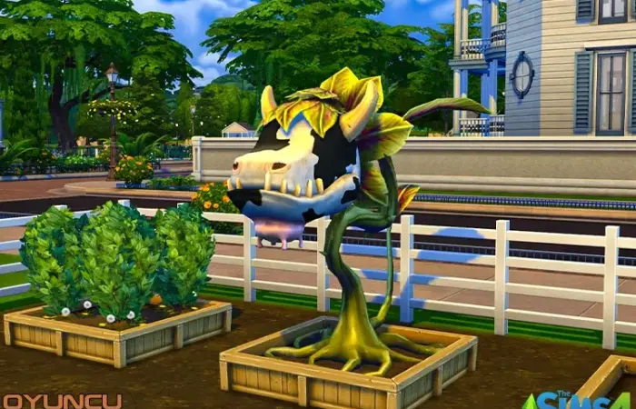 Sims 4 Cowplant Nasıl Büyütülür?