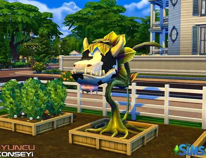 Sims 4 Cowplant Nasıl Büyütülür?