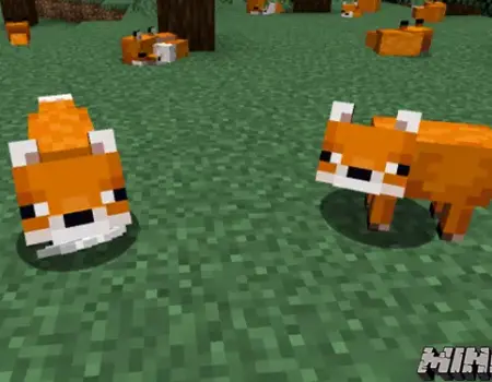 Minecraft Tilki Evcilleştirme Rehberi