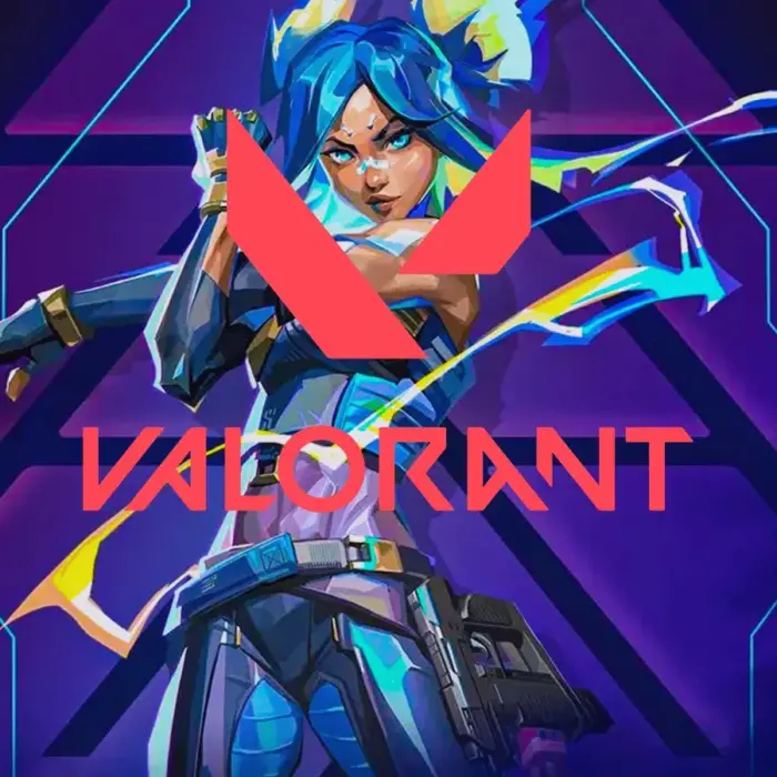 Valorant VAN 9003 Hatası Çözümü