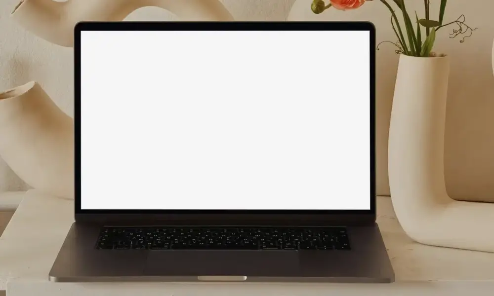 Bilgisayar Ekranı Beyaz Oldu Sorunu ve Çözümü