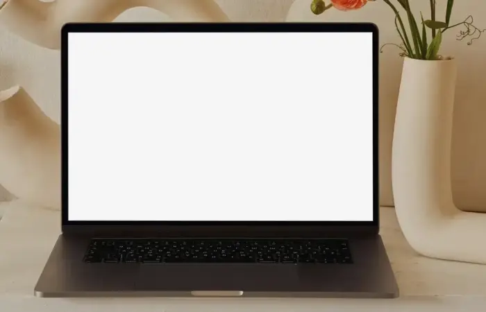 Bilgisayar Ekranı Beyaz Oldu Sorunu ve Çözümü