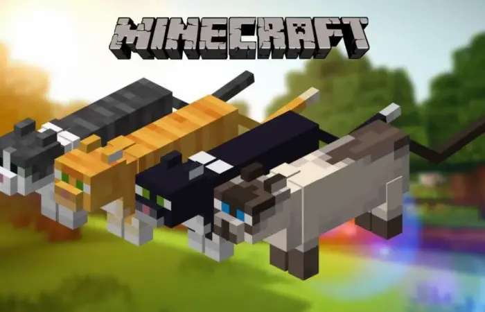 Minecraft kedi evcilleştirme rehberi