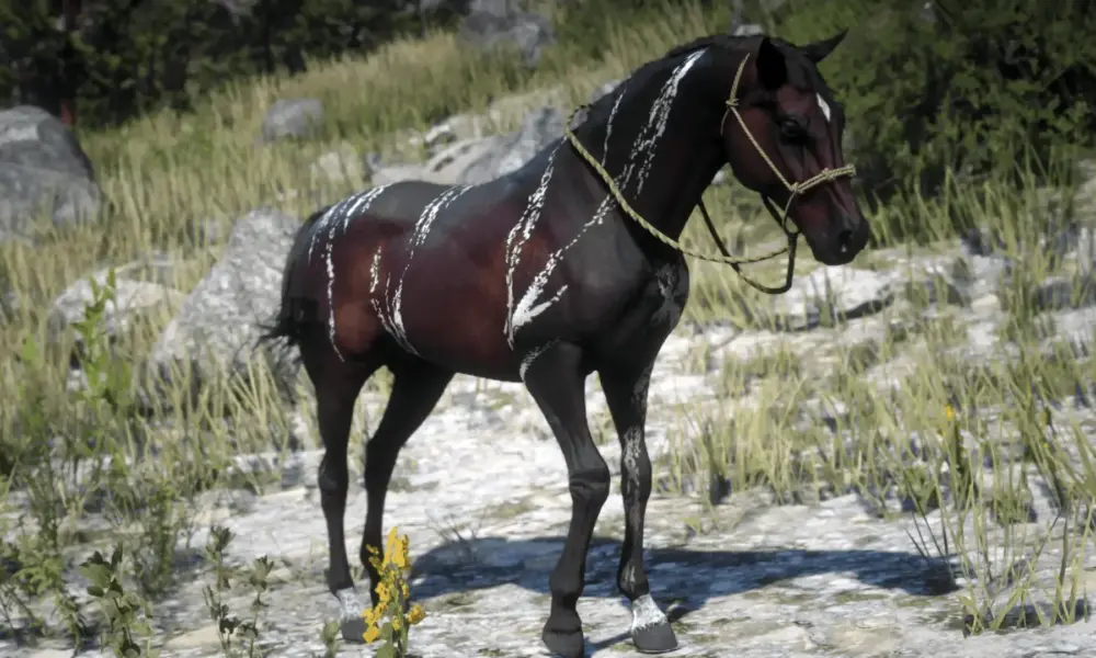 RDR 2 Arap Atı Nereden Bulunur?