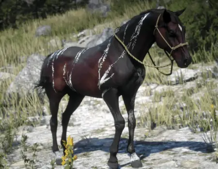 RDR 2 Arap Atı Nereden Bulunur?
