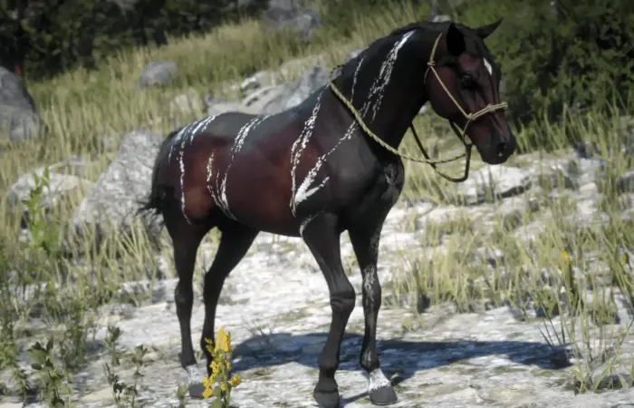 RDR 2 Arap Atı Nereden Bulunur?