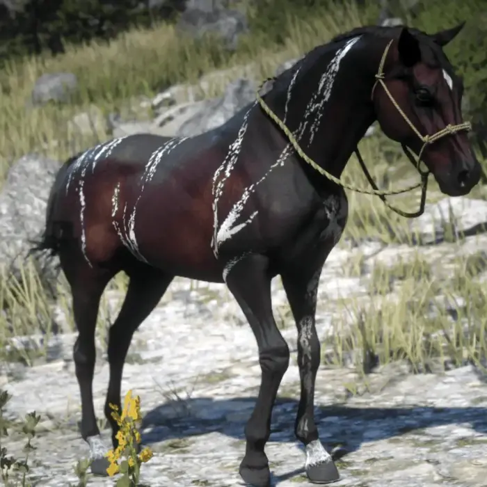 RDR 2 Arap Atı Nereden Bulunur?