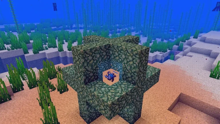 Minecraft Denizin Kalbi Ne İşe Yarar?